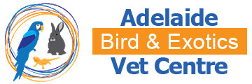 Adelaide Bird & Exotics Vet Centre